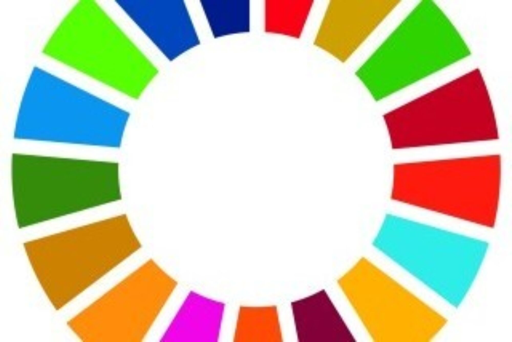 Sdg wheel hires cmyk 01 teaser1